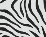 koja_NW_ZEBRA_2202